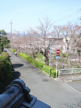 トンガリプロジェクトvol.18 下鴨修学館ー春分ー