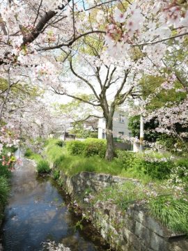 トンガリプロジェクトvol.18 下鴨修学館ー清明ー