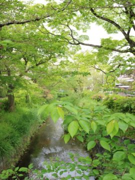 トンガリプロジェクトvol.18 下鴨修学館ー穀雨ー